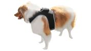 Economical Pet Surveillance Pocket GSM GPS Dog Tracking Collars Device Size:M