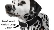 Enhanced GPS Pet Locator for Cat Dog Waterproof Pocket Tracking Device Size:M