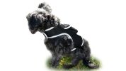 Android GPS Pet Tracker Realtime Tracking System Mini Dog Cat Locator Size:M