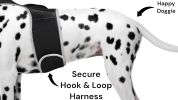 Economical Pet Surveillance Pocket GSM GPS Dog Tracking Collars Device Size:M