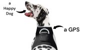 Comfortable Non-Allergenic GPS Tracker for Dog Collar Mount GSM Tracking Device Size:M