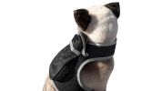 Enhanced GSM GPS Mini Pet Locator Tag Waterproof Dog/Cat Tracking Sys Size:M